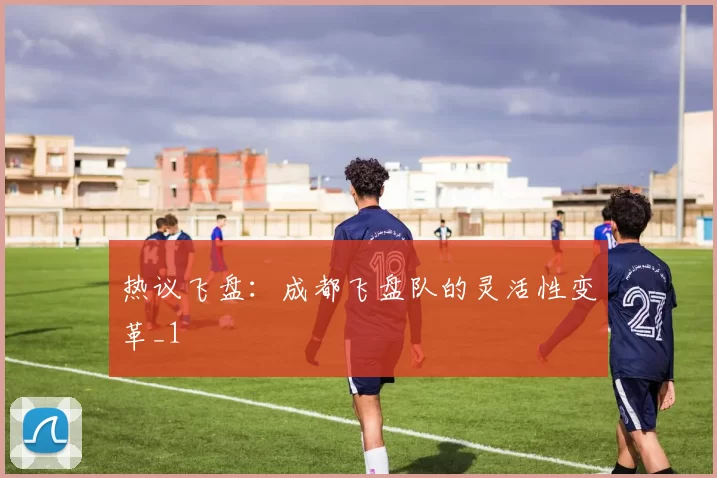 热议飞盘：成都飞盘队的灵活性变革_1