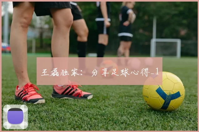 王磊独家：分享足球心得_1