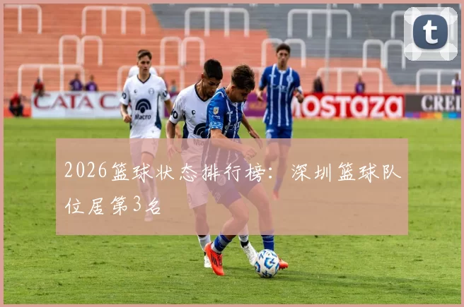 2026篮球状态排行榜：深圳篮球队位居第3名