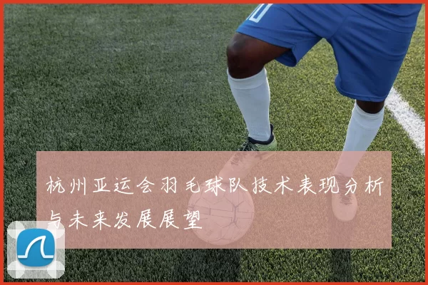 杭州亚运会羽毛球队技术表现分析与未来发展展望