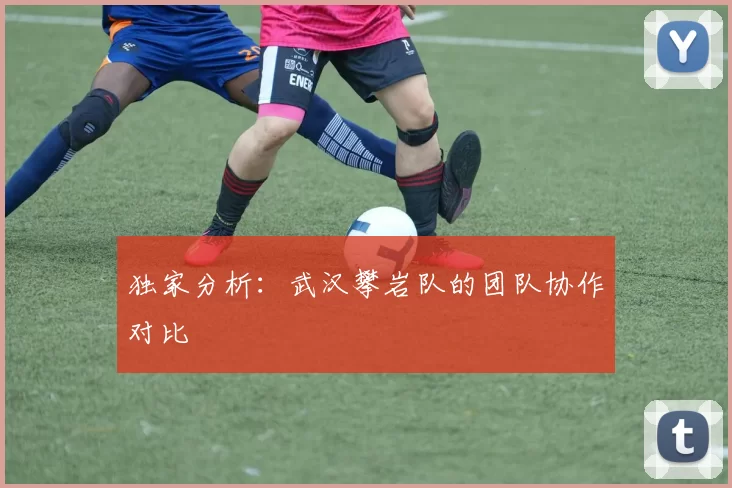 独家分析：武汉攀岩队的团队协作对比