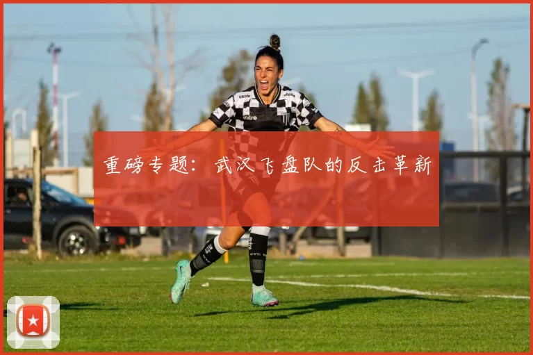 重磅专题：武汉飞盘队的反击革新